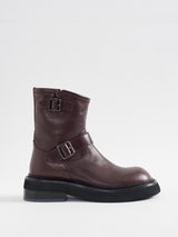 RED BROWN